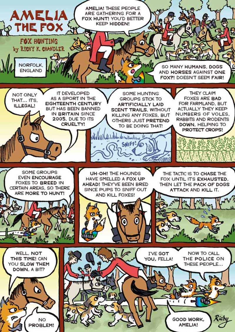 Kid&#39;s Nature Magazines – Issue 66 – Amazing Equines