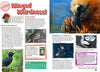 Kid&#39;s Nature Magazines - Issue 69/70 - Brilliant Birds