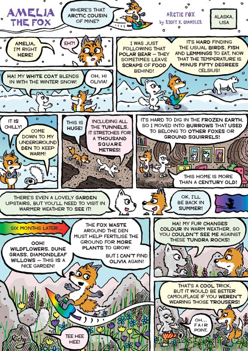 Kid&#39;s Nature Magazines – Issue 74 – Wild Alaska