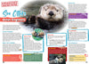 Kid&#39;s Nature Magazines – Issue 74 – Wild Alaska