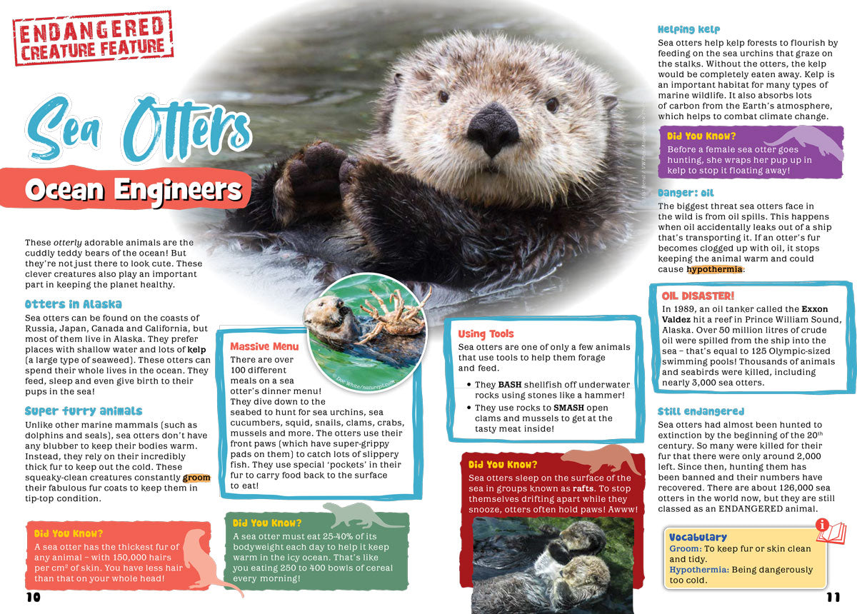 Kid&#39;s Nature Magazines – Issue 74 – Wild Alaska