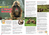 Kid&#39;s Nature Magazines – Issue 75 – Primates of the World