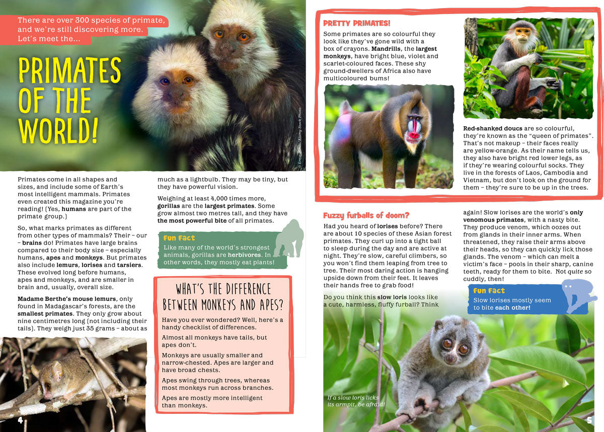 Kid&#39;s Nature Magazines – Issue 75 – Primates of the World
