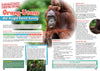 Kid&#39;s Nature Magazines – Issue 75 – Primates of the World