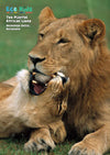 Kid&#39;s Nature Magazines – Issue 76 – Wetland Wildlife