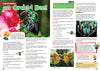 Kid&#39;s Nature Magazines – Issue 78 – Winged Insects