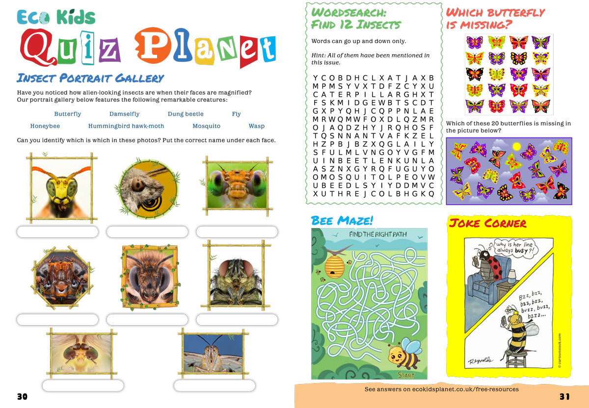 Kid&#39;s Nature Magazines – Issue 78 – Winged Insects