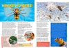 Kid&#39;s Nature Magazines – Issue 78 – Winged Insects