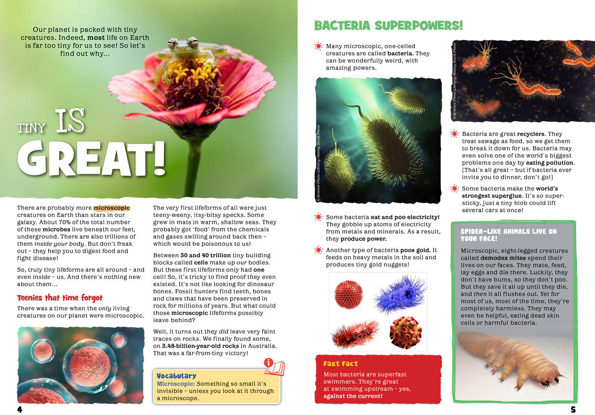 Kid&#39;s Nature Magazines – Issue 80 – Tiny Wildlife