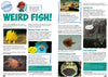 Kid&#39;s Nature Magazines – Issue 81/82 – Fantastic Fish