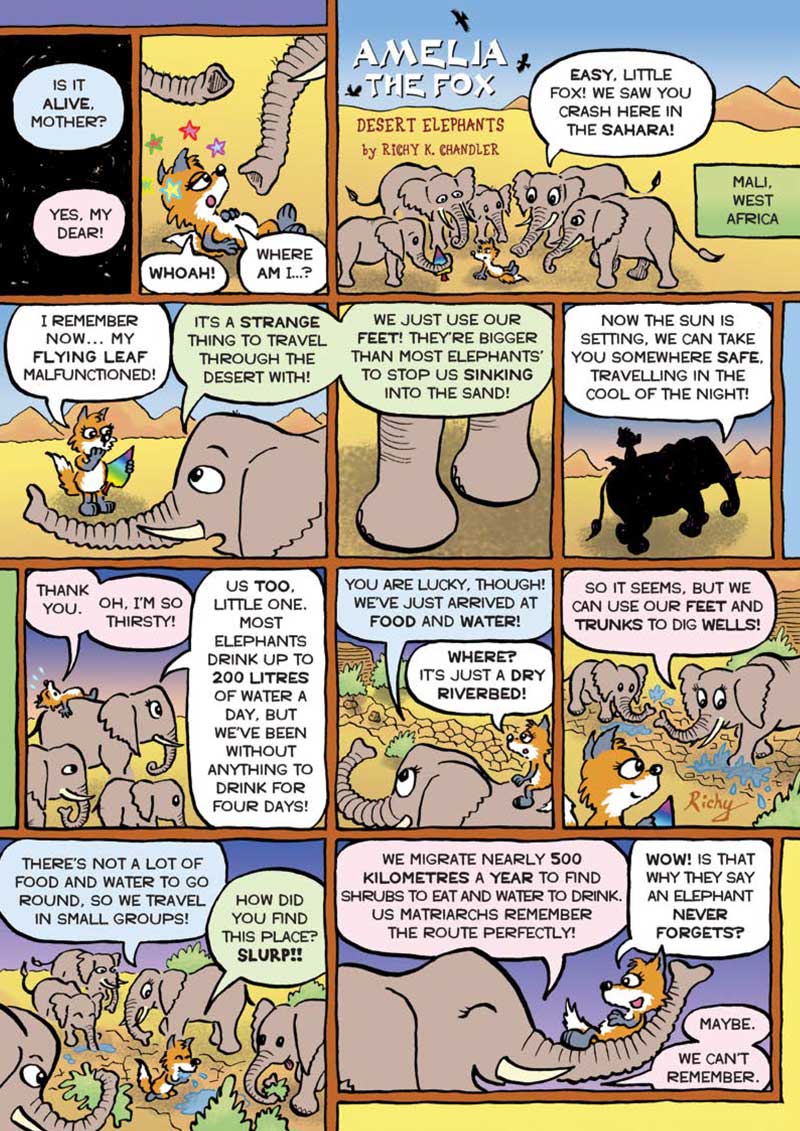 Kid&#39;s Nature Magazines – Issue 87 – Strange Noses!