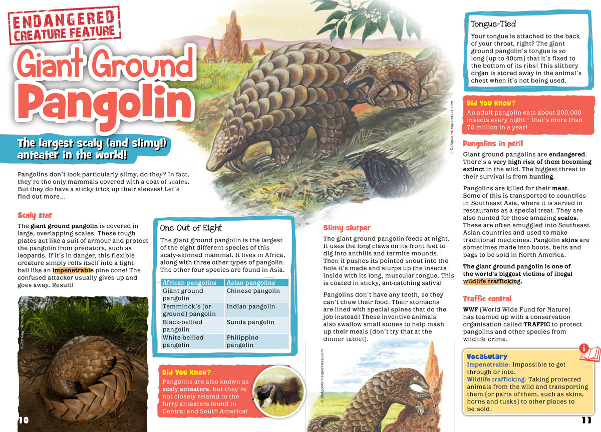 Kid&#39;s Nature Magazines – Issue 89 – Slimy Species!