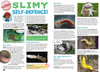Kid&#39;s Nature Magazines – Issue 89 – Slimy Species!