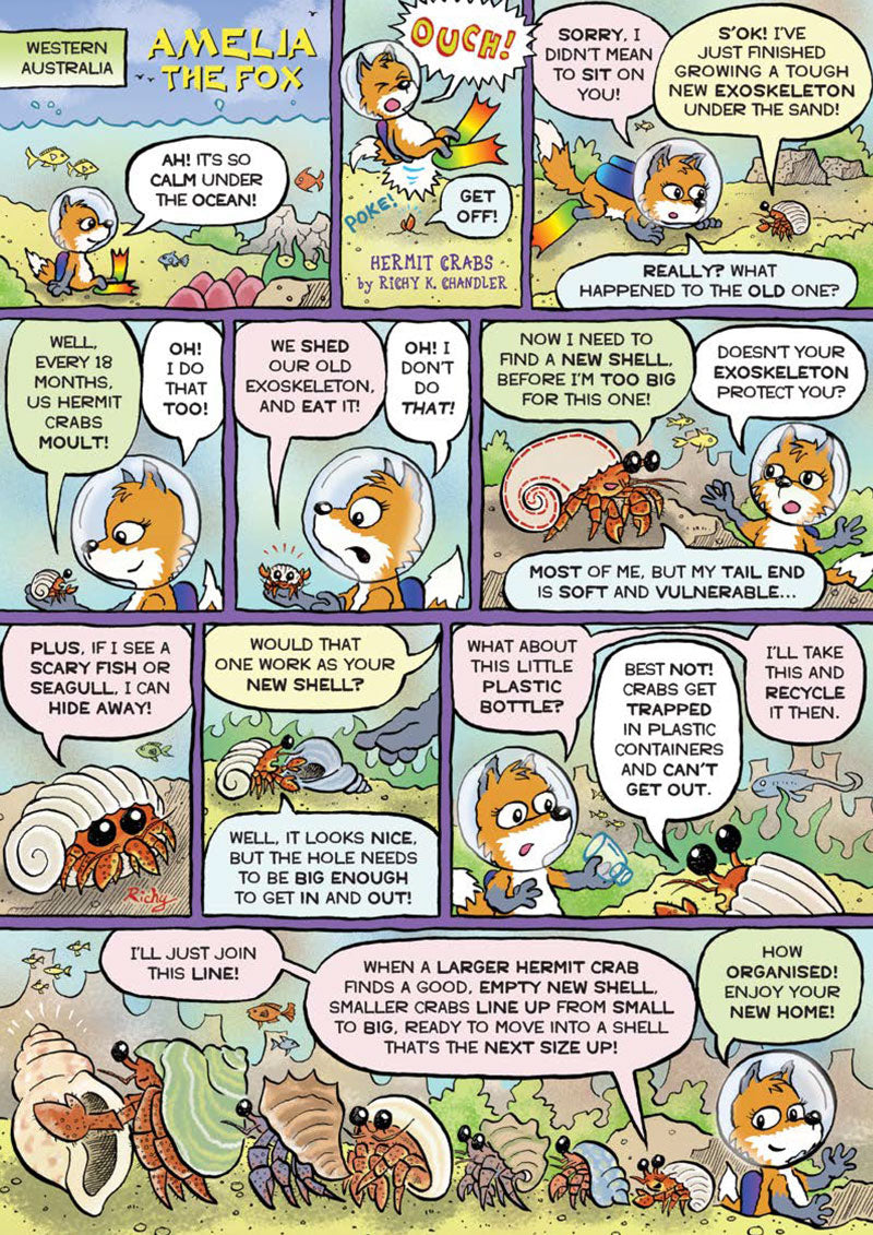 Kid&#39;s Nature Magazines – Issue 92 - Coastal Creatures