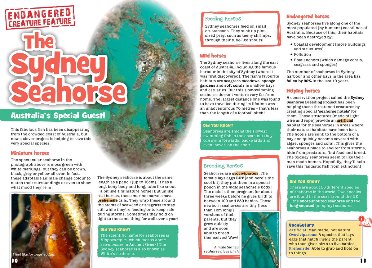 Kid&#39;s Nature Magazines – Issue 92 - Coastal Creatures