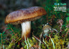 Kid&#39;s Nature Magazines – Issue 95 - Funky Fungi!