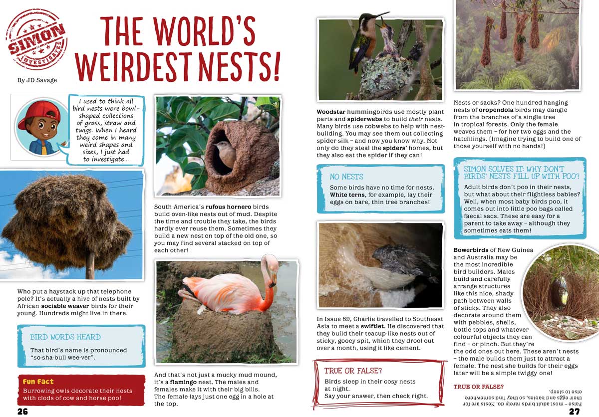 Kid&#39;s Nature Magazines – Issue 99 - Best Builders!