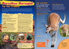 Kid&#39;s Nature Magazines - Issue 20 - Australia, Great Sandy-Tanami Deserts