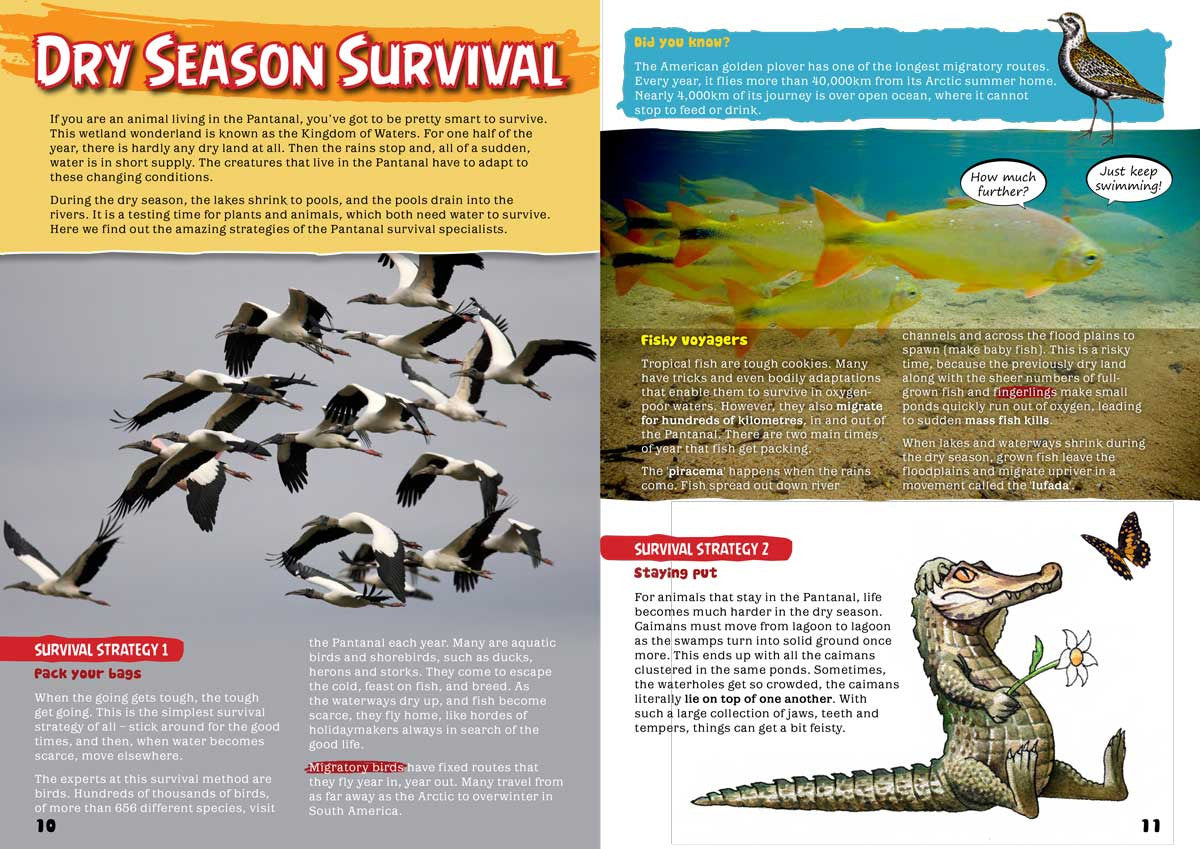 Kid&#39;s Nature Magazines - Issue 23 - Pantanal
