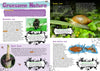Kid&#39;s Nature Magazines - Issue 24 - Spooky Science