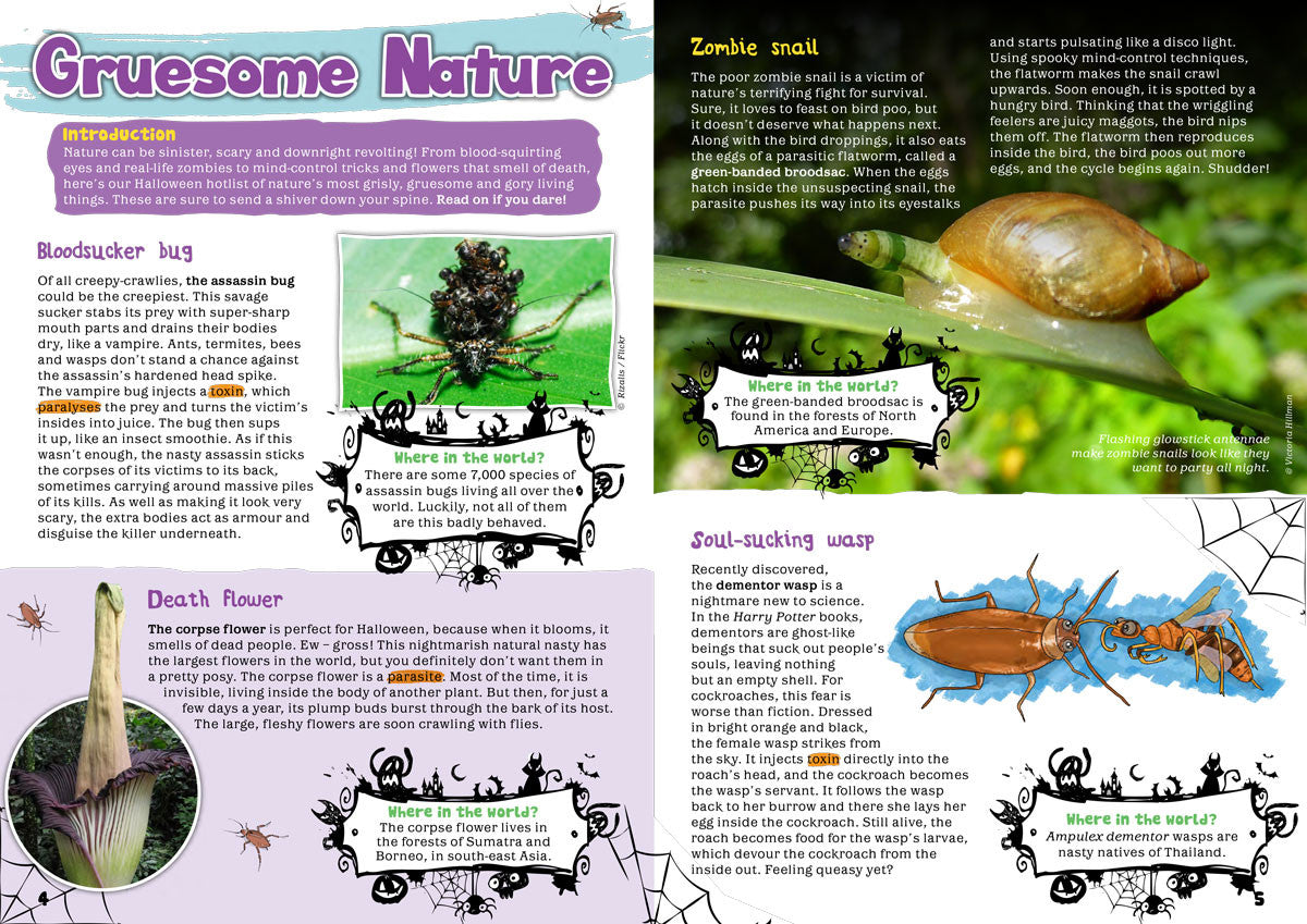 Kid&#39;s Nature Magazines - Issue 24 - Spooky Science