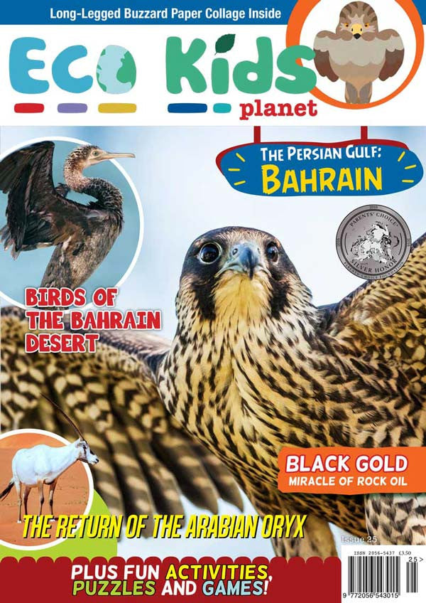 Eco Kids Planet  – Bundle of Six