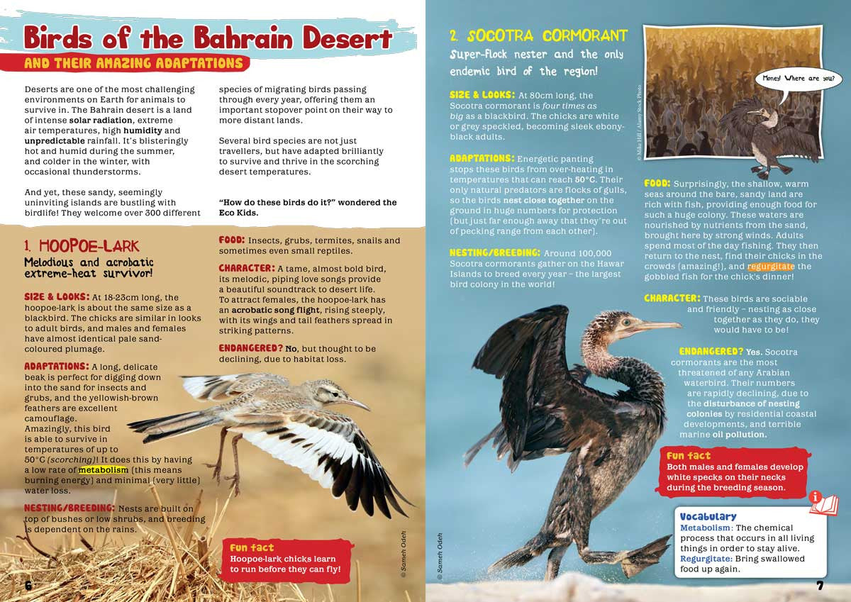 Kid&#39;s Nature Magazines - Issue 25 - Bahrain