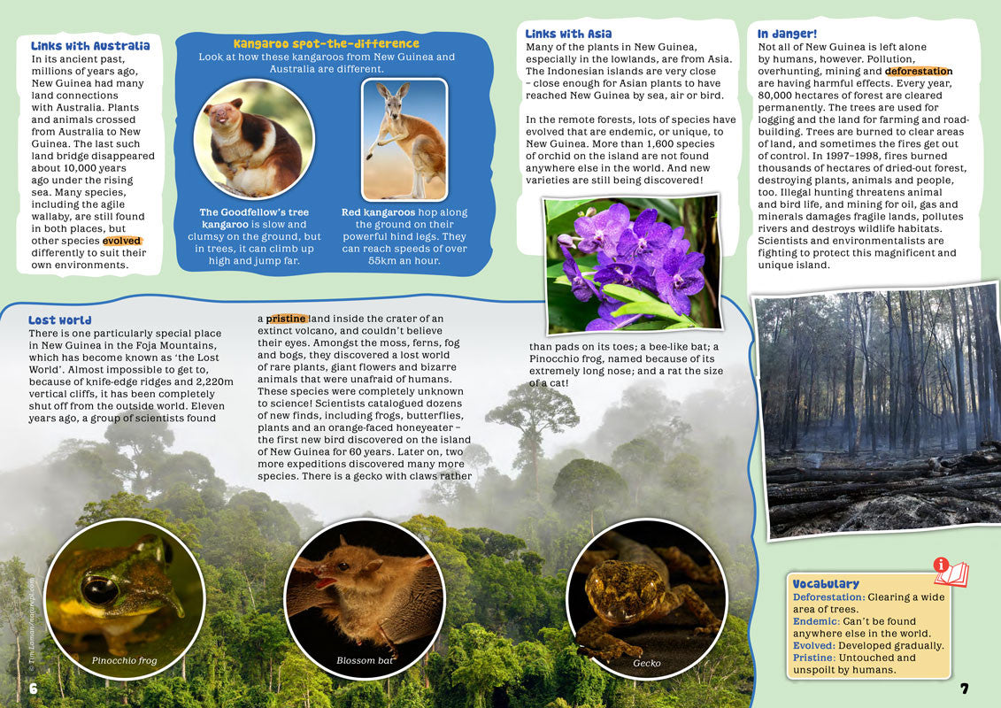 Kid&#39;s Nature Magazines - Issue 28 - The Island of New Guinea