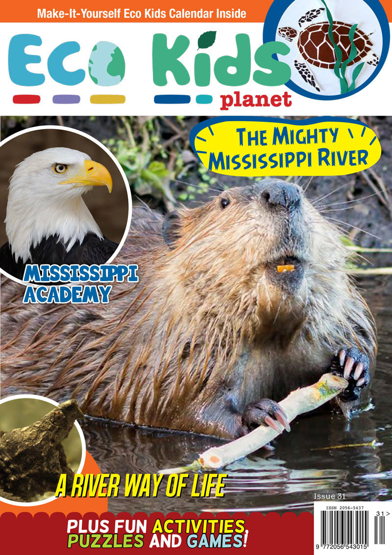 Kid's Nature Magazines - Issue 31 - The Mighty Mississippi River