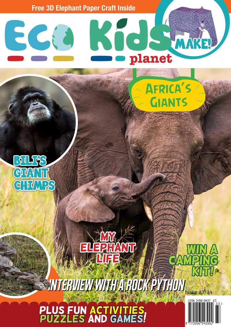 Kid's Nature Magazines - Issue 33/34 - Africa's Giants