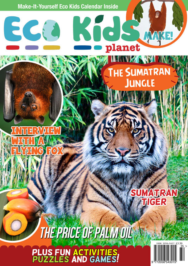 Kid's Nature Magazines - Issue 35 - The Sumatran Jungle