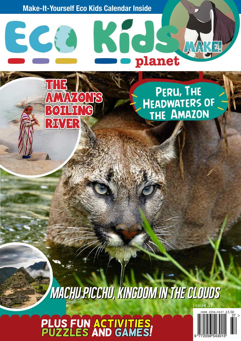 Kid's Nature Magazines - Issue 37 - Peru, The Headwaters of the Amazon