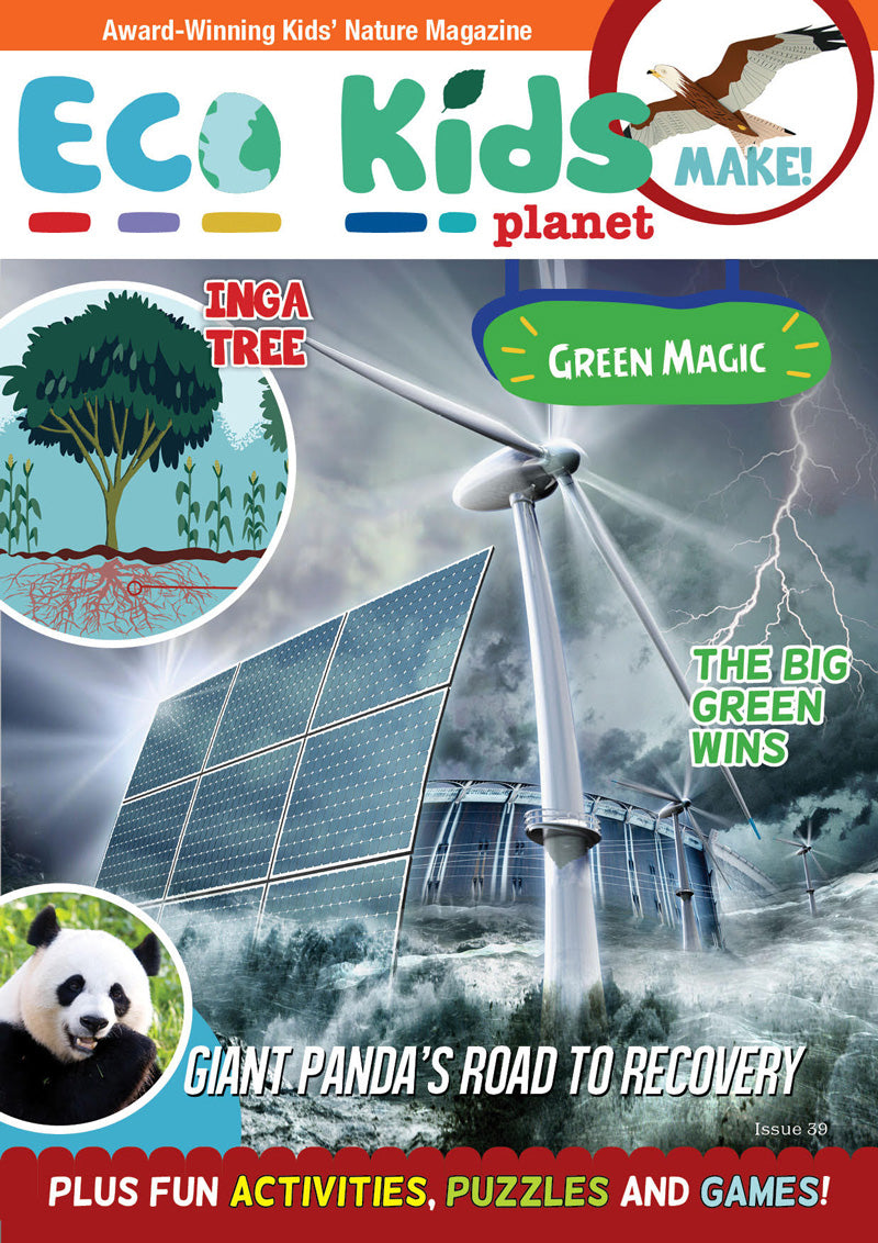 Kid's Nature Magazines - Issue 39 - Green Magic