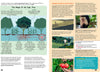 Kid&#39;s Nature Magazines - Issue 39 - Green Magic