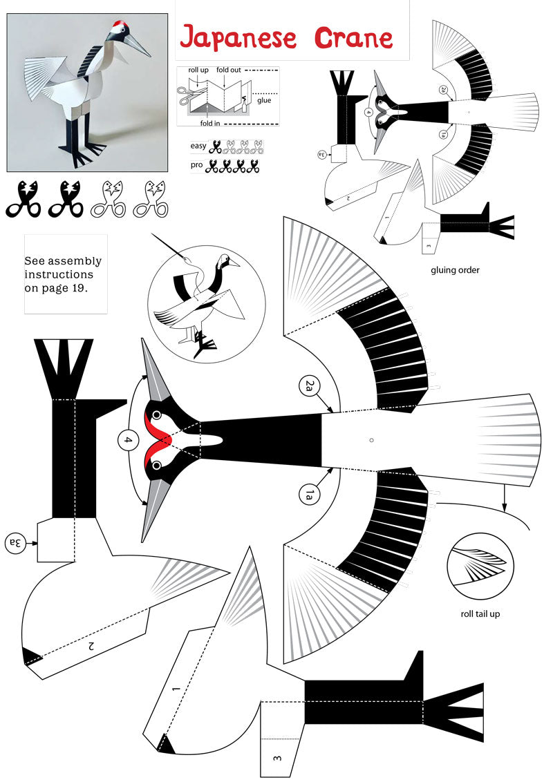 Kid&#39;s Nature Magazines - Issue 40 - The Japanese Archipelago