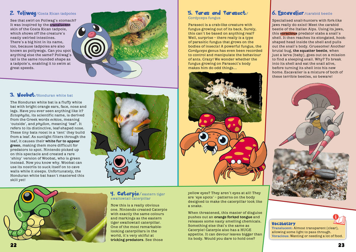 Kid&#39;s Nature Magazines - Issue 40 - The Japanese Archipelago