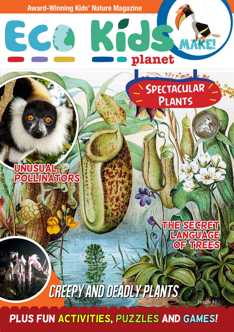 Kid's Nature Magazines - Issue 41 - Spectacular Plants
