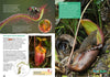 Kid&#39;s Nature Magazines - Issue 41 - Spectacular Plants