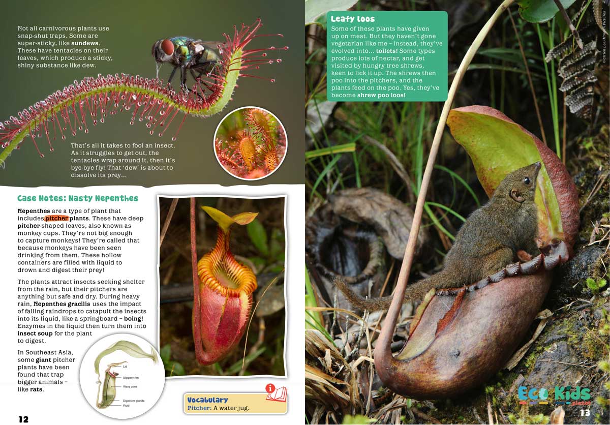Kid&#39;s Nature Magazines - Issue 41 - Spectacular Plants