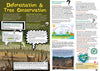 Kid&#39;s Nature Magazines - Issue 41 - Spectacular Plants