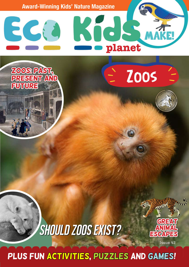Kid's Nature Magazines - Issue 42 - Zoos