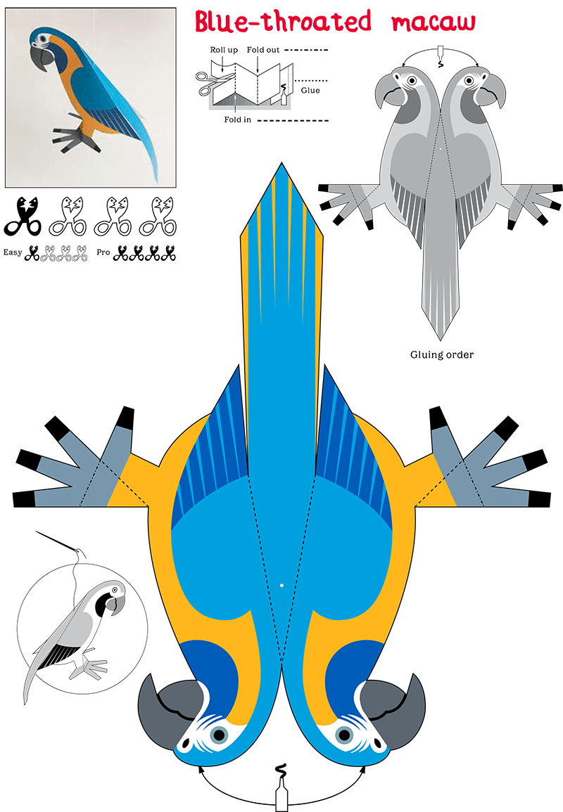 Kid&#39;s Nature Magazines - Issue 42 - Zoos