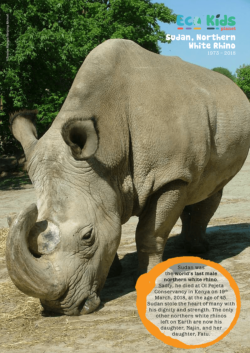Kid&#39;s Nature Magazines - Issue 42 - Zoos