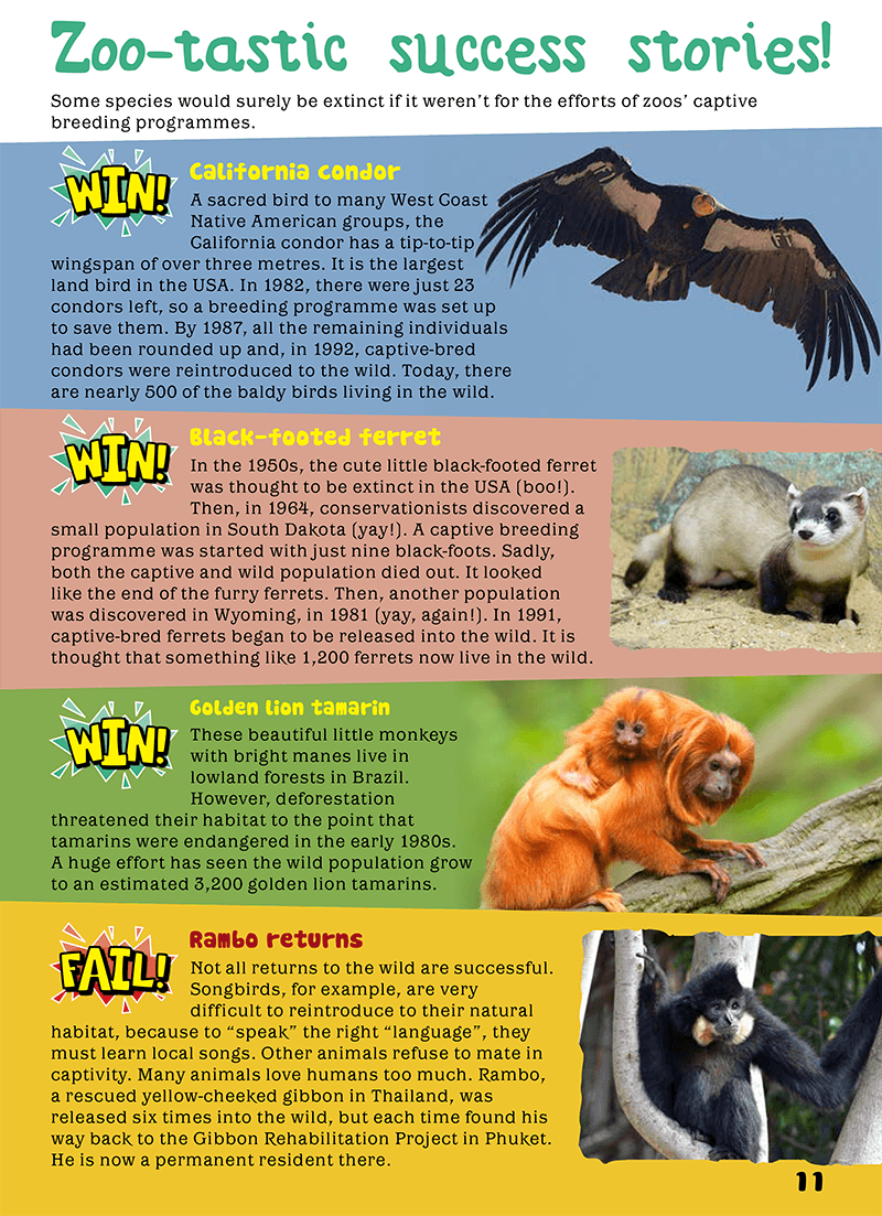 Kid&#39;s Nature Magazines - Issue 42 - Zoos