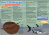 Kid&#39;s Nature Magazines - Issue 43 - The Mighty Mekong
