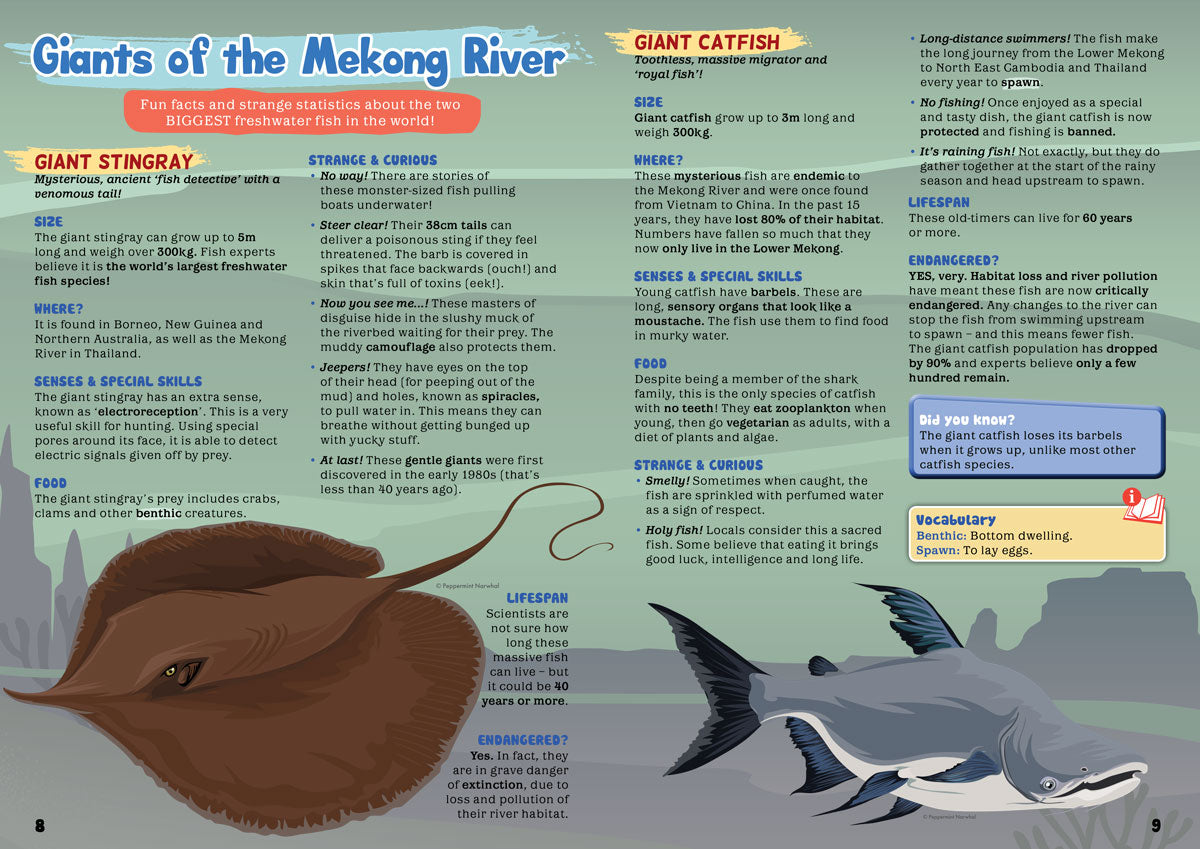Kid&#39;s Nature Magazines - Issue 43 - The Mighty Mekong