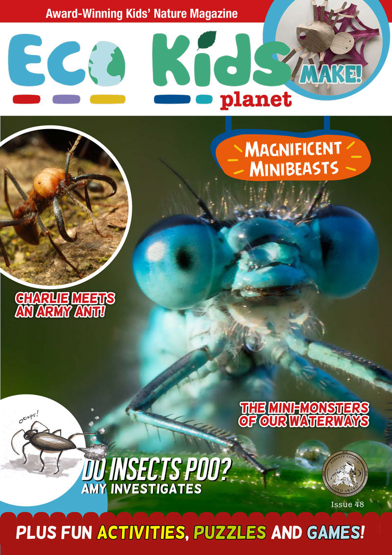 Kid's Nature Magazines - Issue 48 - Magnificent Minibeasts