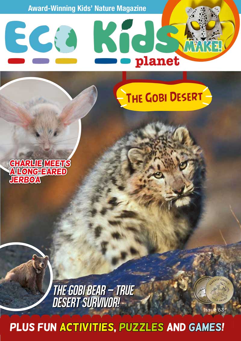 Kid's Nature Magazines - Issue 53 - The Gobi Desert