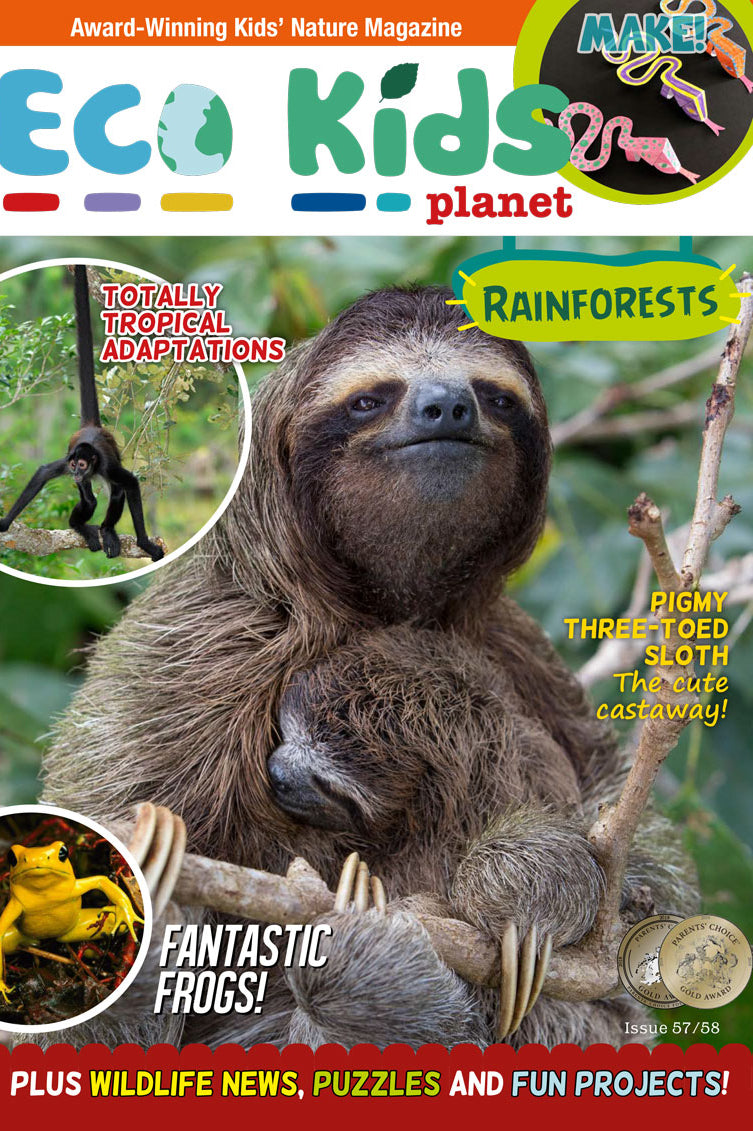 Kid's Nature Magazines - Issue 57/58 - Rainforests