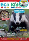 Kid&#39;s Nature Magazines - Issue 60 - Underground Life